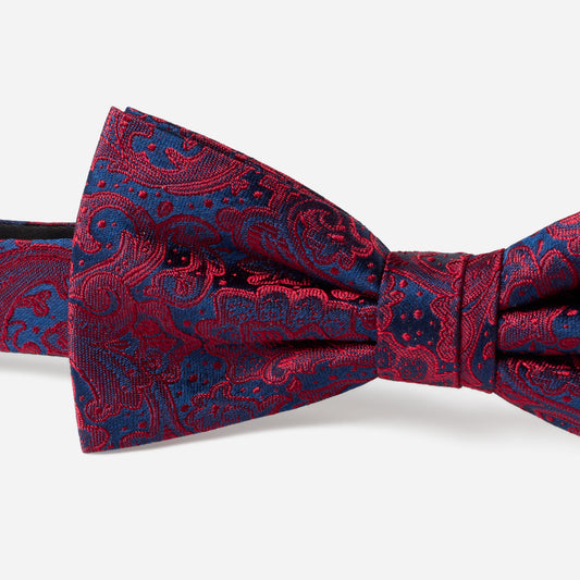 FLAVIO red paisley